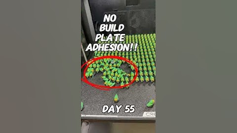 3D Printing a Duck for Every New Subscriber! | Day 55