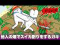 他人の畑でスイカ割りをする夏のクソガキ【アニメ】【コント】