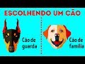 Como Escolher a Raça de Cachorro Perfeita para Você