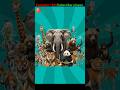 किस जानवर के मुंह में कितने दांत होते हैं? 😱 | Animal Teeth Facts #shorts