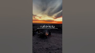 #المنشاوي#تلاوة_عطرة#سورة_طه #قرآن#شورتات_قرآن#foryou#اكسبلور #راحة_نفسية#duet#محمد_صديق_المنشاوي