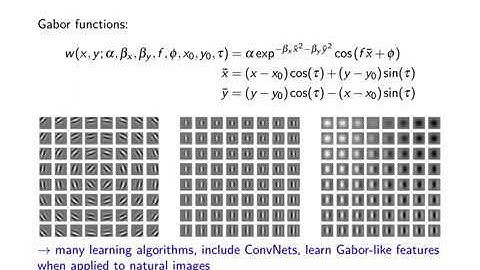 Deep Learning Lecture 5.4 - Visual Cortex