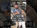 После 2 дня не ел и ходил икал. Дробышевский #интересно