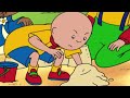 Caillou Can't Build a Sandcastle | Caillou Cartoon