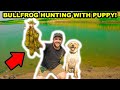 BULLFROG Hunting with My DOG!!! (Catch Clean Cook) - Will It Work?