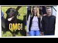 Man Released From Prison After Dog is Found? ft. Jazmine Garcia & Steve Greene