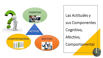 ¿Qué es la actitud conductual?