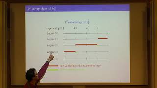 Prof. Pierre Pansu | 6. Lp-cohomology