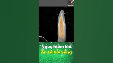 Nguy Hiểm Khi Ăn Cá Hồi Sống