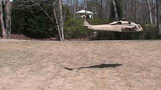 RC Aerodyne trex 600 Blackhawk test 2