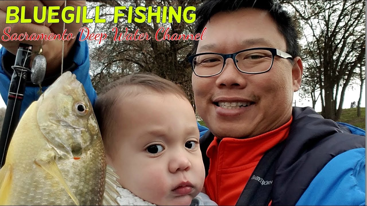 Winter Bluegill Fishing at the Sacramento Deep Water Channel