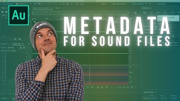Simplify Metadata Writing For Field Recording with Universal Category System