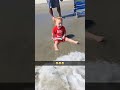 play with wave #cutebaby #funnybabies #funnyvideos