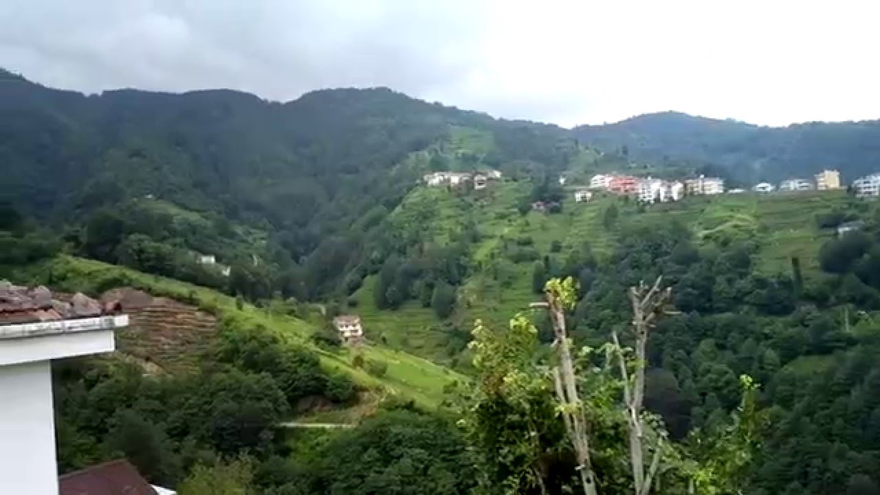 Ağaçseven Köyünde Sıradan Bir Gün