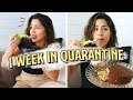 How to Survive Quarantine