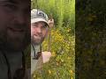 Weeding a Native Wildflower Planting!! #nativeplants #wildflowers #landscaping #killyourlawn