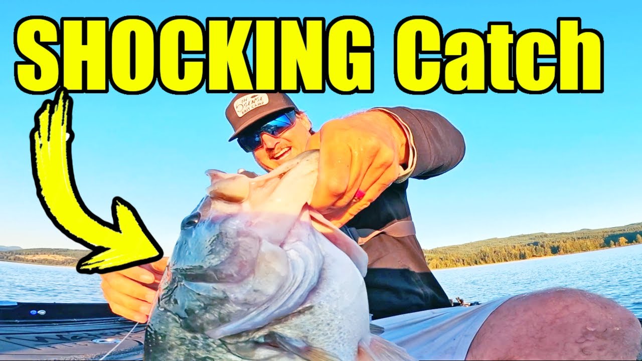 Unexpected GIANT Catch Fishing for the World Record Bass!