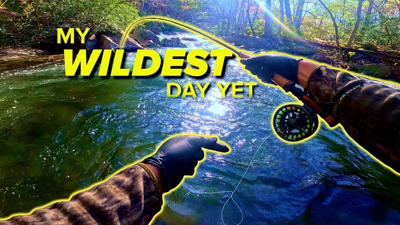 This DEEP Pool Was Hiding a HUGE TROUT!