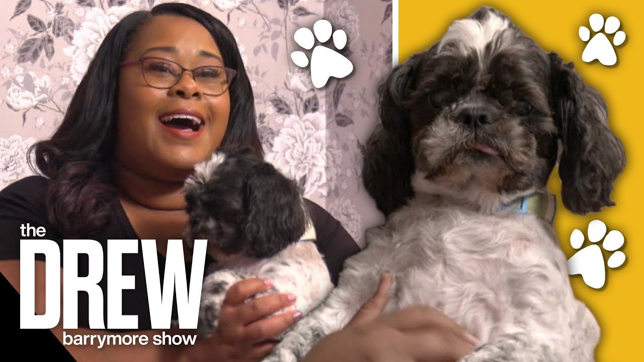 Tips to Soothe Your Anxious Dog | Hot Tip