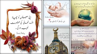 Best Urdu Quotes | Islamic Status | Life Changing Quotes | Urdu Poetry | Urdu Shayari