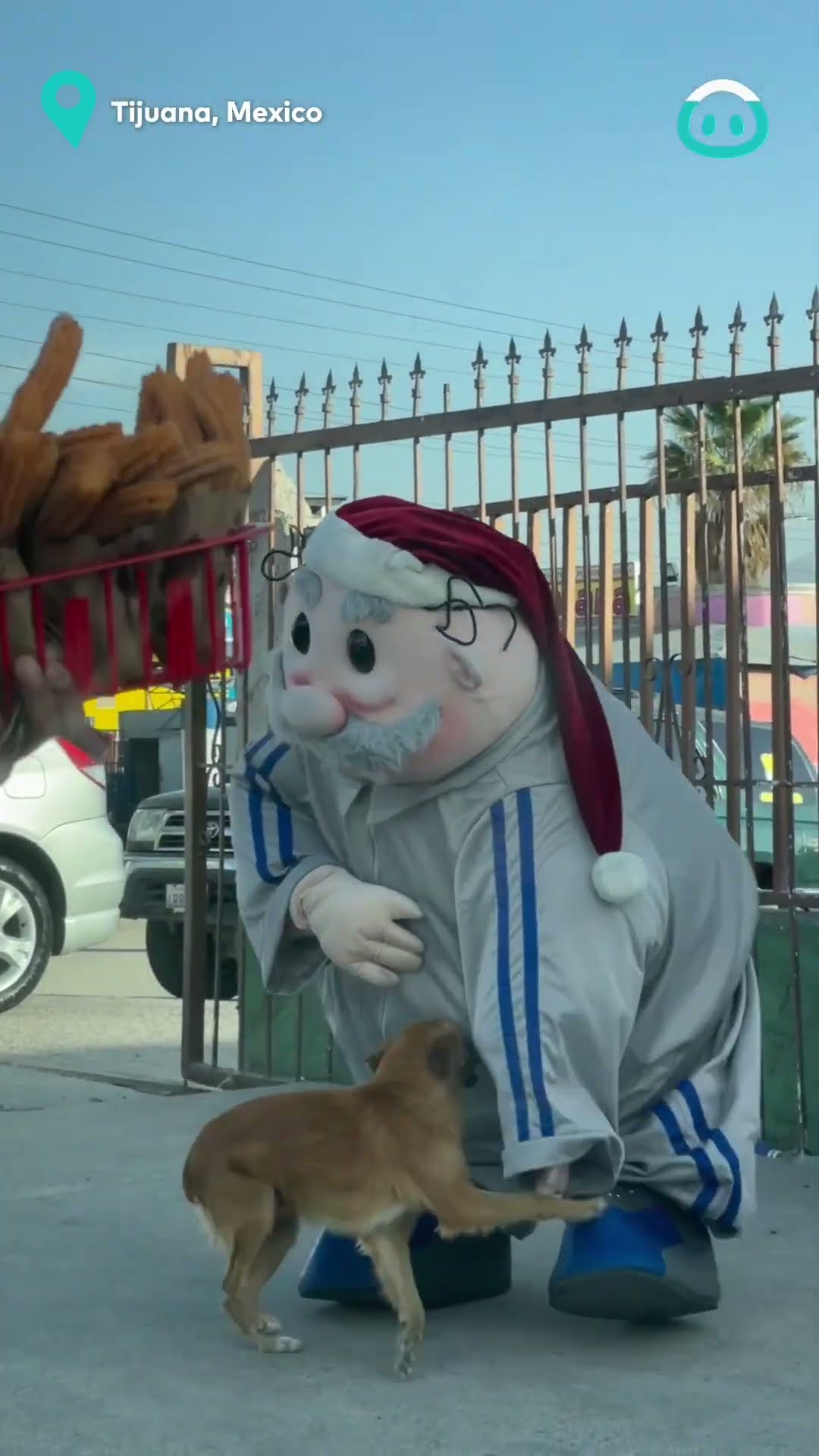 Pharmacist Mascot Plays with Pup || ViralHog