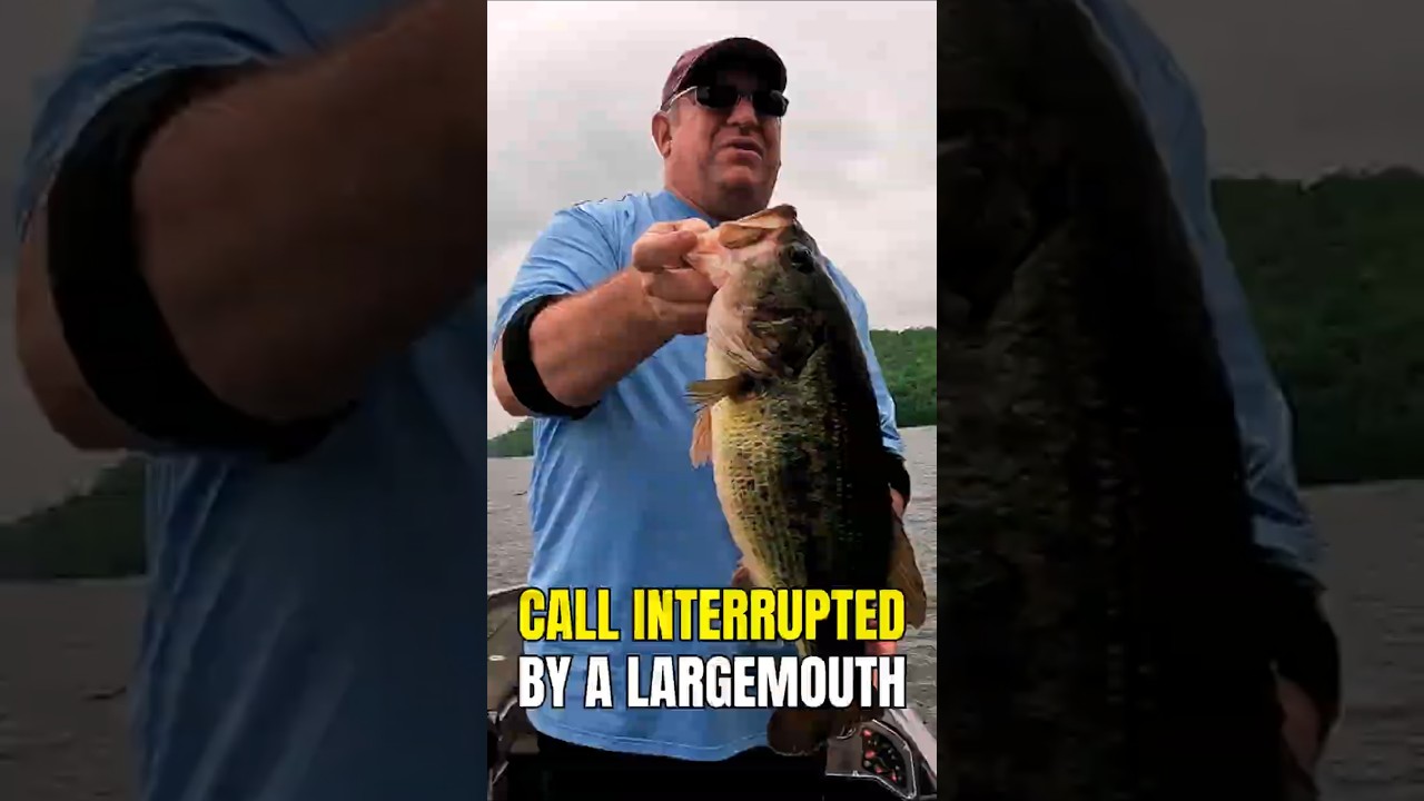 Hold on… there’s a largemouth on the other line 🎣