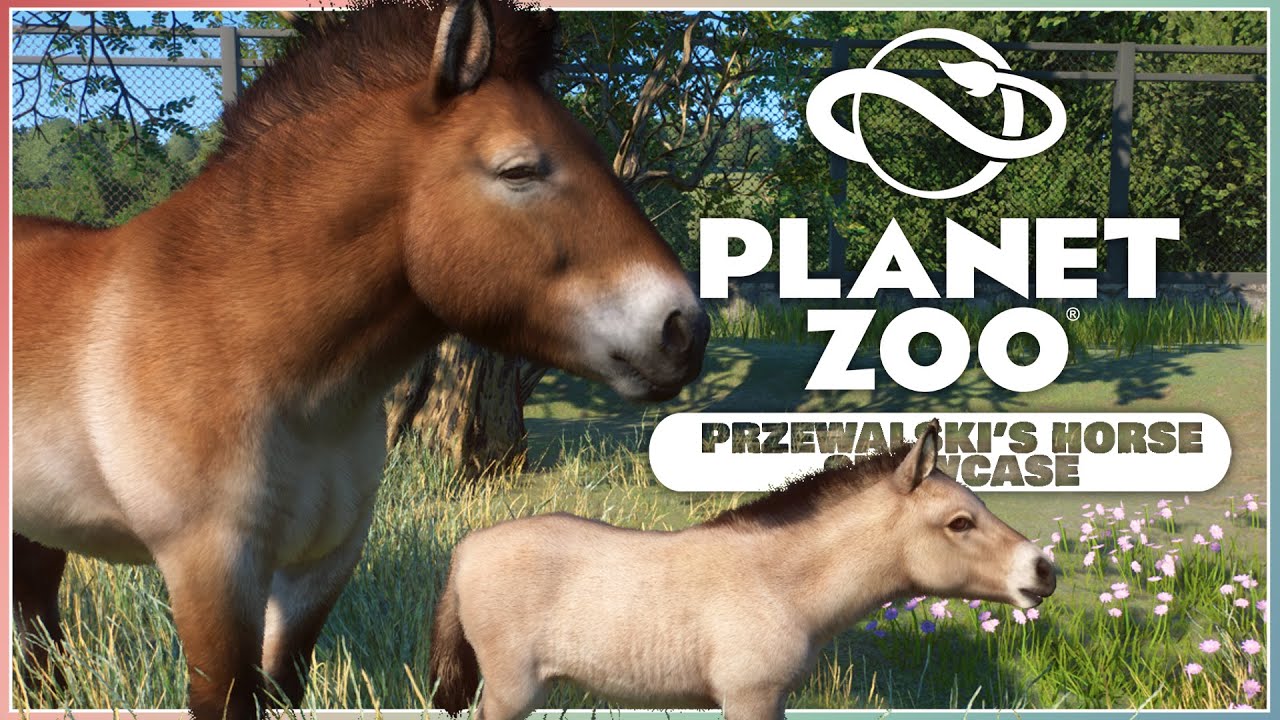 The Lip Wiggle! | Przewalski’s Horse Showcase | Planet Zoo Conservation Pack