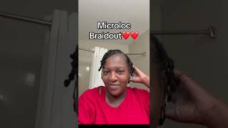 Microlocs❤️ #hair #locs #microlocs #naturalhair #lifestyle #diy #selflove #culture #fyp #shorts