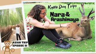 Japan Vlogs - Episode 26 : Nara, Kyoto, Arashimaya by Frenchy Pepette 4,092 views 4 years ago 8 minutes, 2 seconds