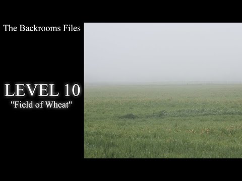 Level 10 Of The Backrooms - Field Of Wheat 