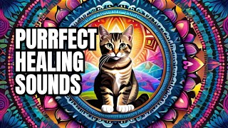 432Hz & Cat Purr: Kaleidoscope Mandala: Healing sounds for Cats & Humans