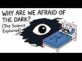 Why Are We Afraid of the Dark? (The Science Explained)