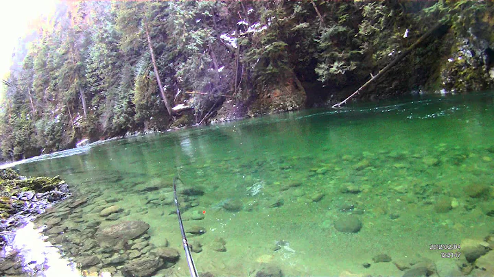 Fishon