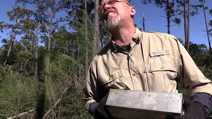 Texas Wild: Ray v. cottonrat
