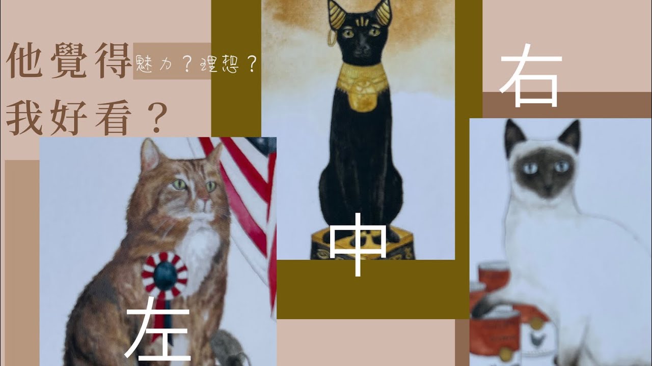 塔羅占卜🔮他是否被你強烈吸引著？他覺得你好看嗎？他心中理想型戀人的特質是什麼？