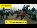 Куршаб жылкы 🐎 мал 🐂 базары!   Кулун |  Саан уй| Бука| Торпоктор| 14.11.2020