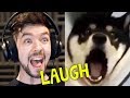 CHILD GETS SCARRED FOR LIFE | Jacksepticeye's Funniest Home Videos #4