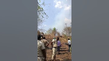 fired on crops #hescom #funny #bescom #kptcl #farming #fire #vlog #electrical #raita