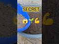 Nursery वाला Secret Mix 😱