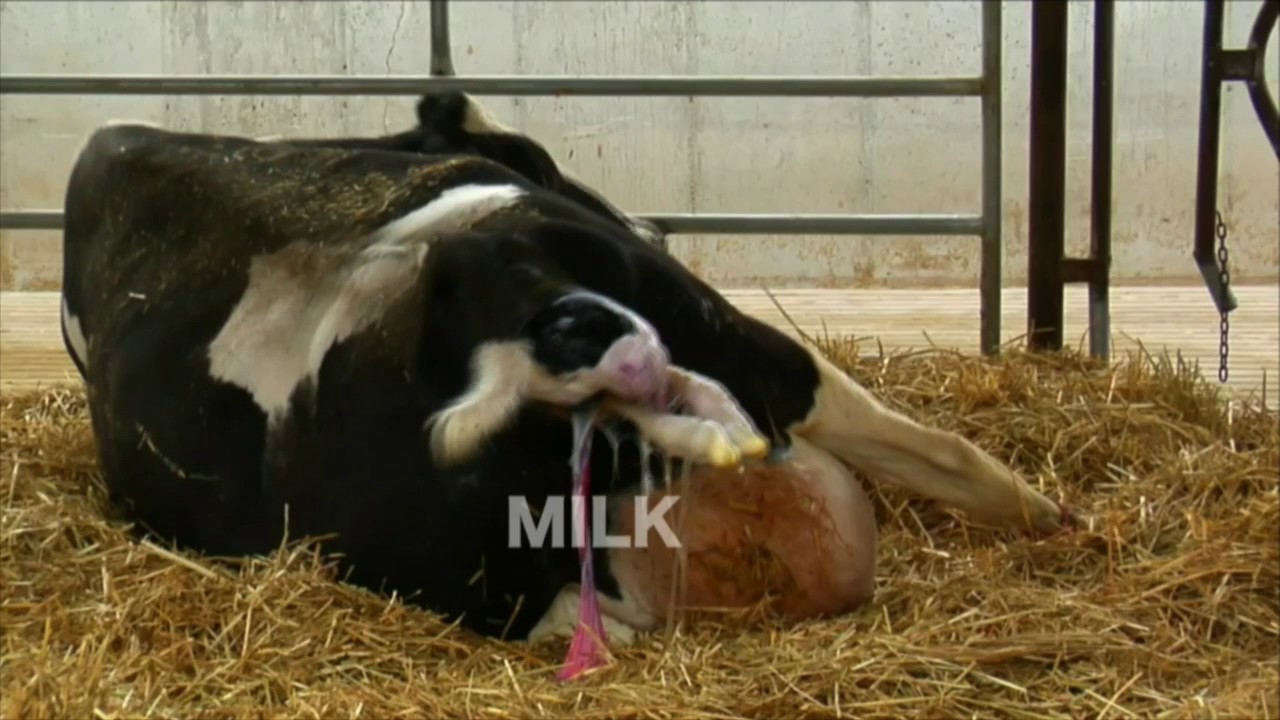 Tools of the Priesthood - Dr. Michael K. Lake   | Hear the Watchmen Dallas 2017