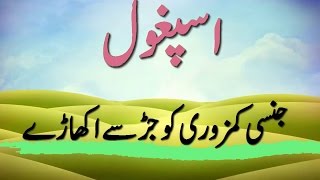 اسپغول کے فواید