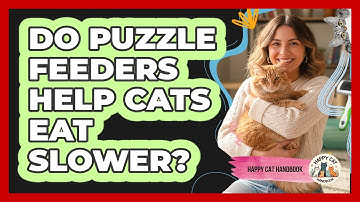 Do Puzzle Feeders Help Cats Eat Slower?