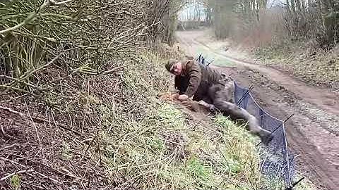 Ferreting rabbits using the long nets and purse nets