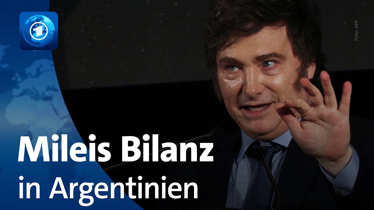 Radikaler Reformer: Argentiniens libertärer Präsident Milei ein Jahr im Amt