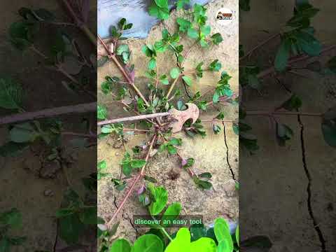 Game-Changer for Gardeners!