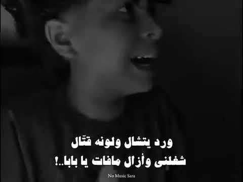 رمش خطاف ادم الامير