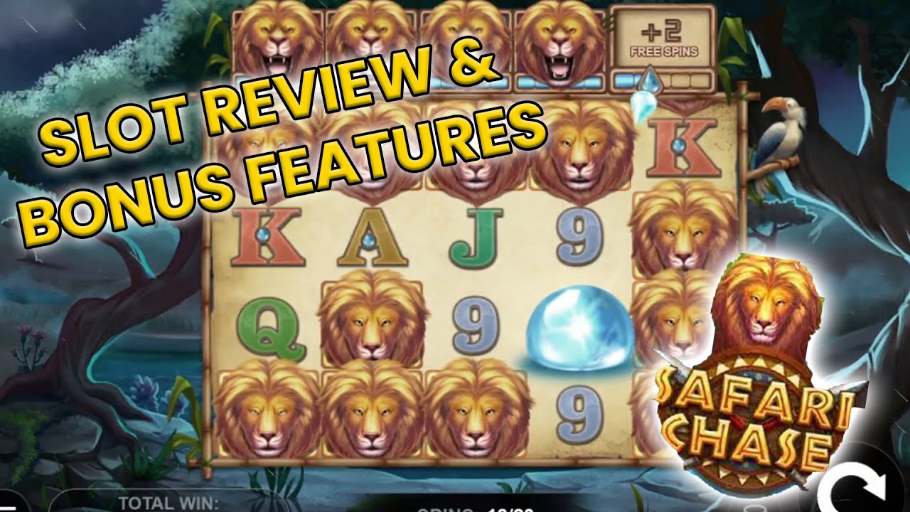 safari chase 108 price