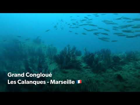 Grand Congloué - Marseille 🇫🇷