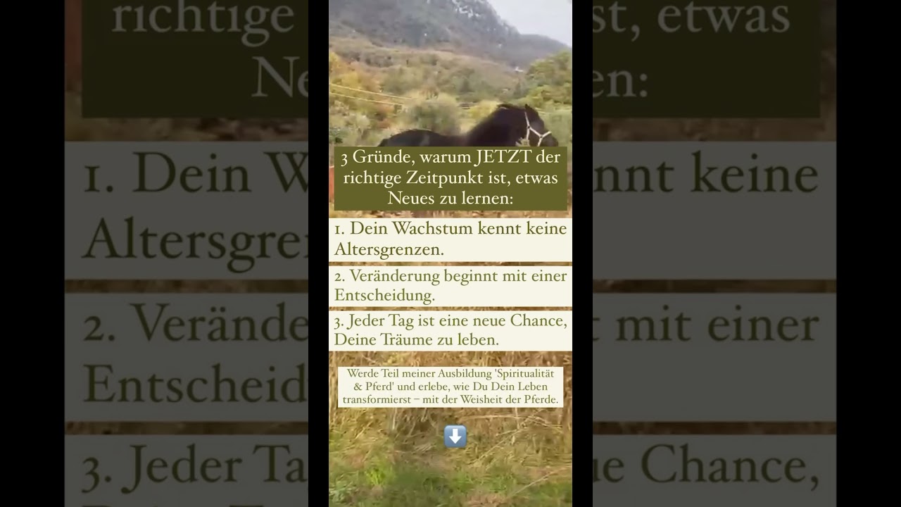 3 Gründe, um JETZT neu anzufangen!