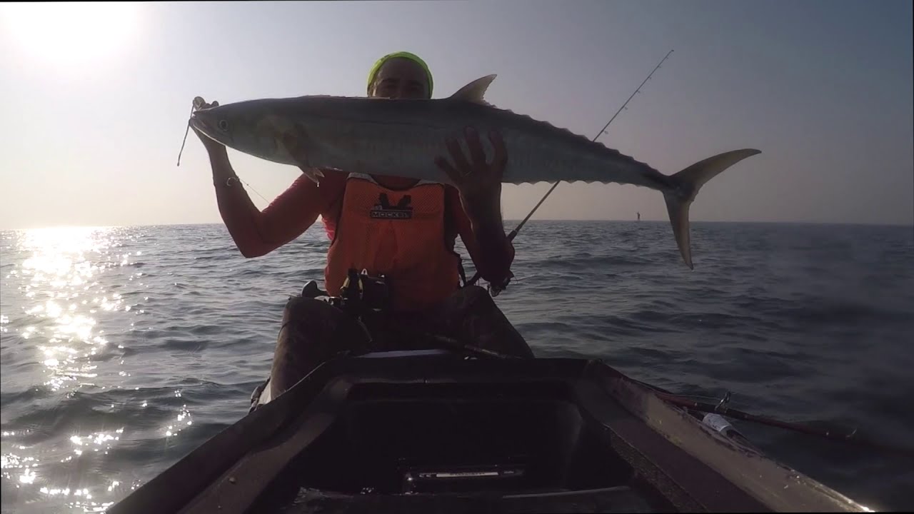 KAYAK FISHING DUBAI 🇦🇪 - THE WORLD - Trolling for KINGFISH
